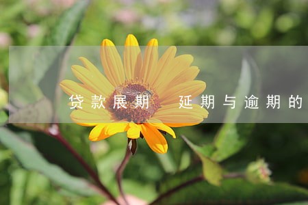 贷款展期 延期与逾期的区别 贷款展期 延期与逾期的区别